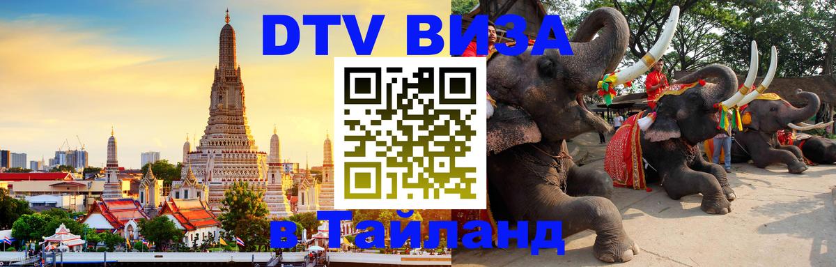 Visa в Таиланд Долгопрудный 